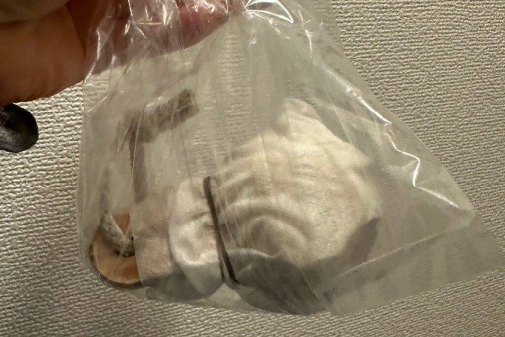 SHIKARIブライトニングウォッシュとブラシの持ち運び方法